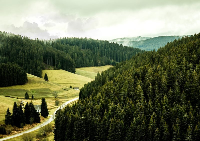 Black Forest, Germany