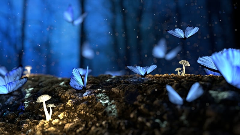 Enchanted Forest Retreat