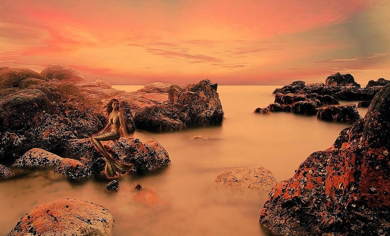 Mermaid's Cove
